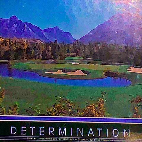 Determination