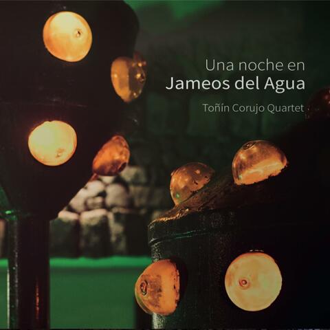 Una Noche en Jameos del Agua