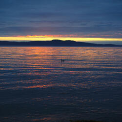 Can't Describe (Magic)