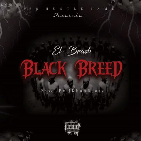 Black Breed