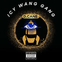 Icy Wang Gang