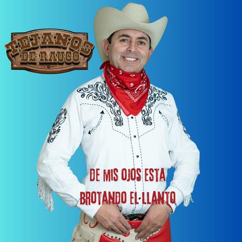 De mis ojos esta brotando el llanto