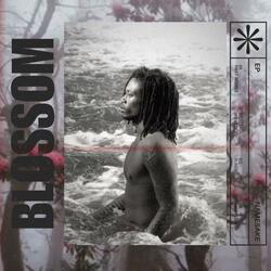 WILDFLOWER (feat. Sk8kay)