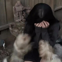 son of the sun / daughter of the moon