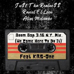 Boom Bap 3:16 N.Y. Mix (We Came Here To Do It) (feat. KRS-One)