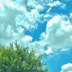 GET HIGH (feat. IT'Z TWINN)