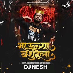 Bhauchya Birthdayla (feat. ShreeMan LegenD)