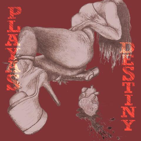 PLAYA'S DESTINY