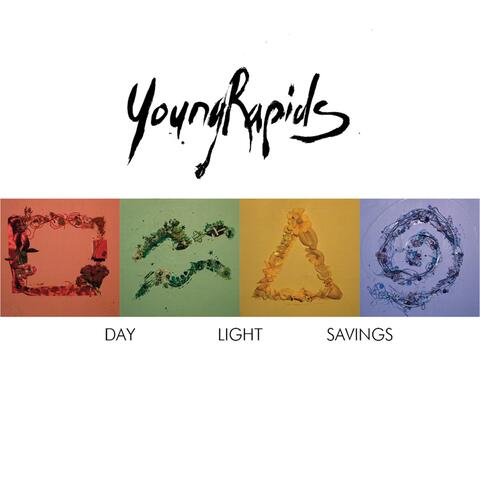 Day Light Savings