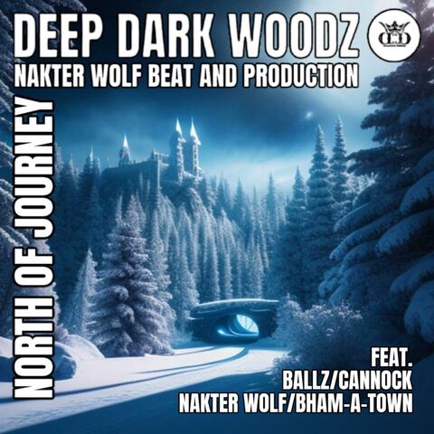 NORTH OF JOURNEY (feat. BALLZ)