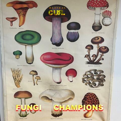Fungi Champions