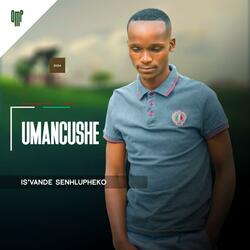 Ngithand'ibhinca