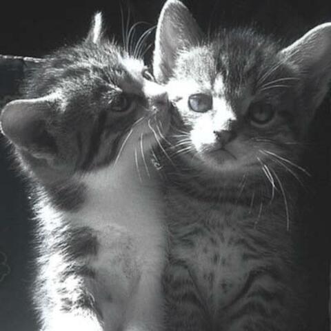 (aro)mantic. :3