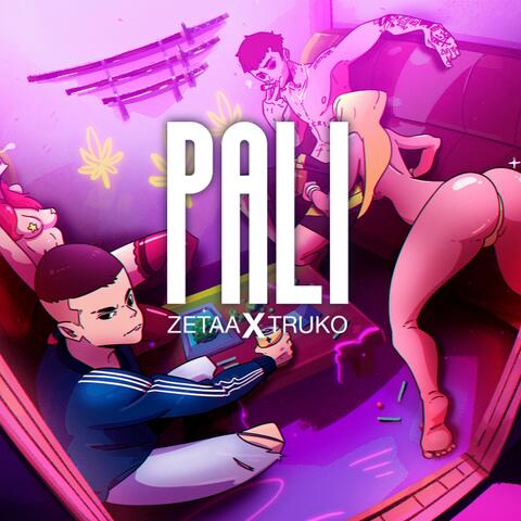 PALI (feat. ZETAA)