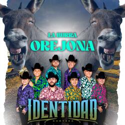 La Burra Orejona