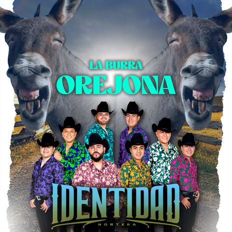 La Burra Orejona