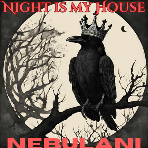 Night is My House (Mystic Nebula)