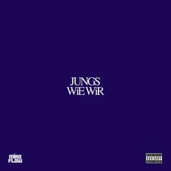 JUNGS WiE WiR