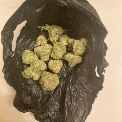 Rico The Sickest (feat. Dreaadasickest)