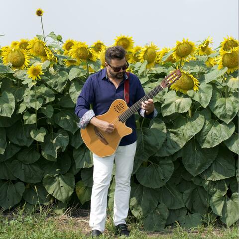 Sunflower Serenade