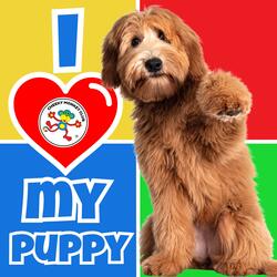 I love my Puppy