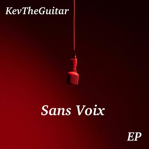 Sans Voix