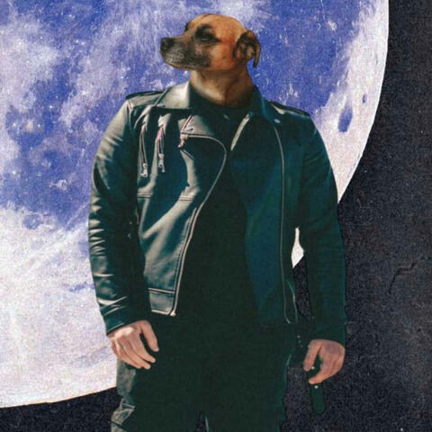 Un giorno semplice