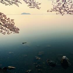 Staraxy Village Theme