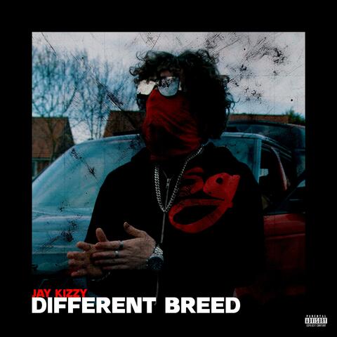 Different Breed