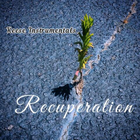 Recuperation