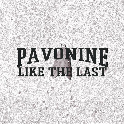 Like the Last