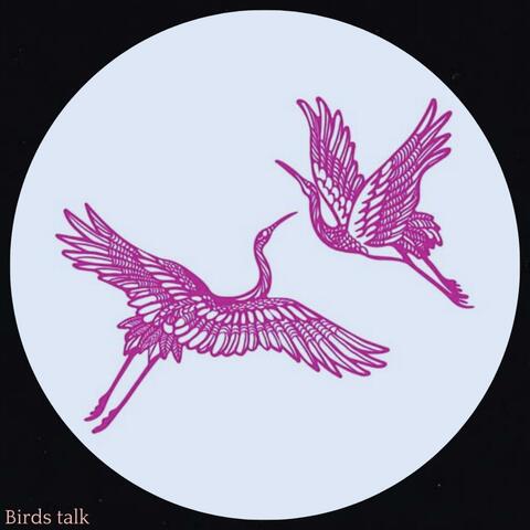 Birds talk