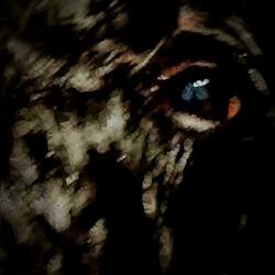 Last Wednesday (feat. Lydiain)