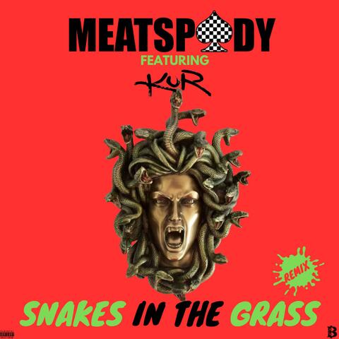 Snakes In The Grass (feat. Kur) [Remix]