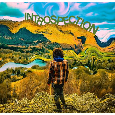 Introspection