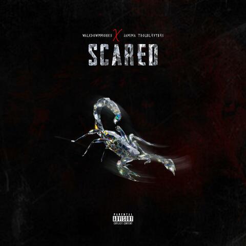 SCARRED (feat. Jamima Troublevybes)