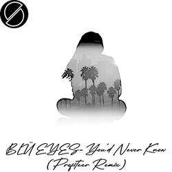 You'd Never Know (feat. BLÜ EYES)