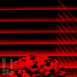 Pain (feat. Raccoon)