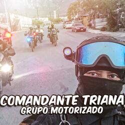Comandante Triana