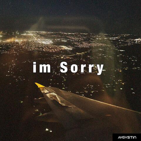 I'm Sorry