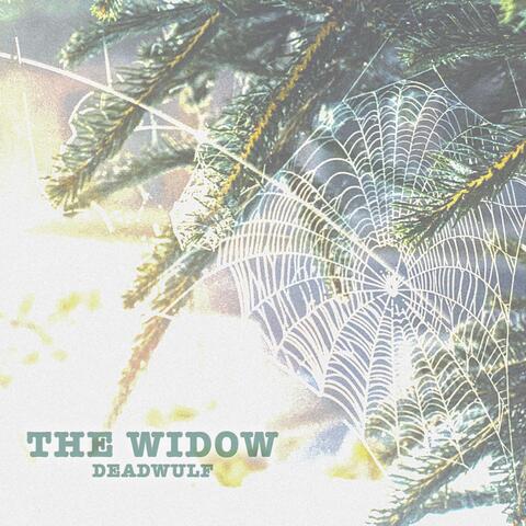 The Widow
