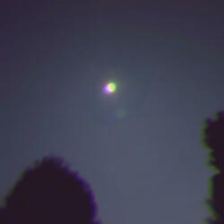 Flowers for Your Grave