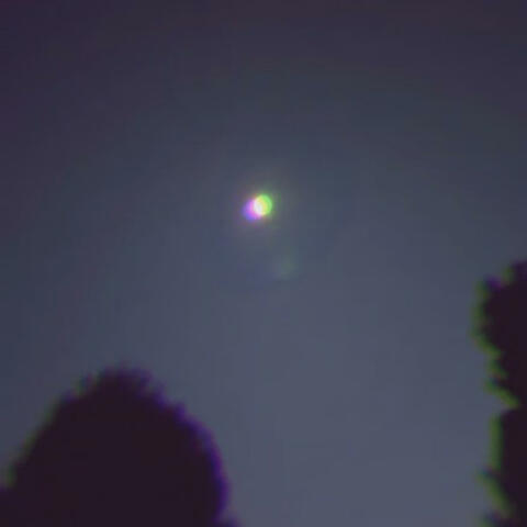 Flowers for Your Grave