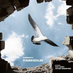 Mauersegler (feat. Coco Aikura & Johann Sundermeier)