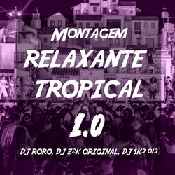 MONTAGEM RELAXANTE TROPICAL 1.0 (feat. DJ SK3 013 & DJ Z2K ORIGINAL)