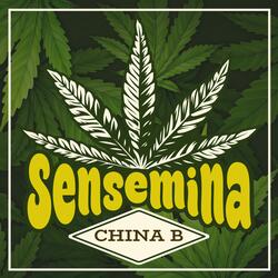 Sensemina (feat. Jah SoulJah)