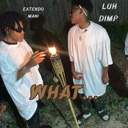 What... (feat. Extendo Mani)