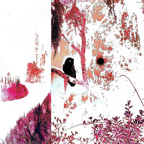 WE DONT LIKE YOU AND WE DONT CARE (BONUS PACK)