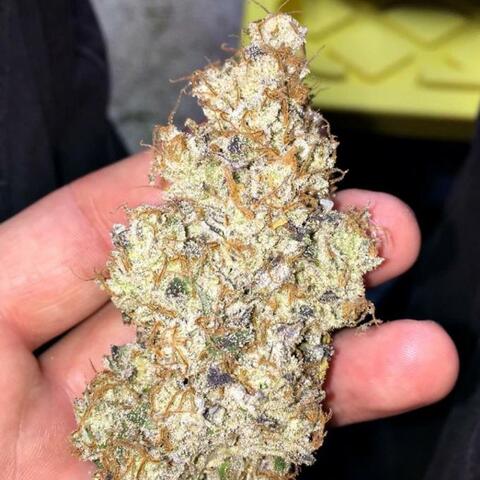Mount Hood Magic