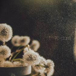 dust